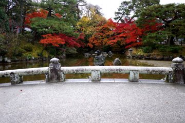 Autumn at Maruyama Park