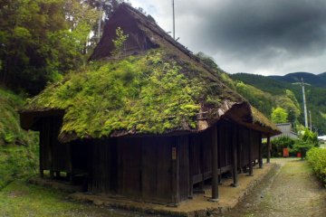 The thatched house