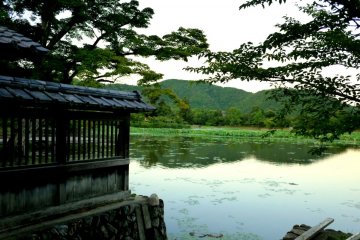 <p>I think perhaps green is my favorite color</p>