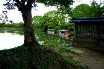 <p>Such a peaceful view!</p>