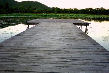 <p>A simple wooden pier juts out into the pond</p>