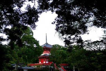 <p>The red and white of Shingyohoto contrasts with the dark trees</p>