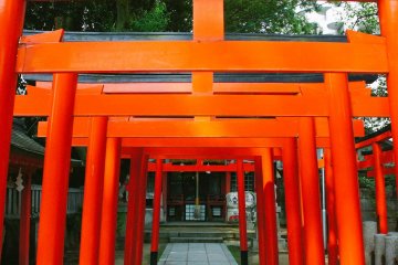 <p>Jejeran torii atau pintu-pintu berwarna merah, salah satu simbol Kuil Shinto.</p>