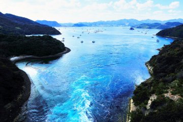 <p>Fishing ships try hard to go out in the Pacific Ocean against the current, but even at full throttle they don't go forward easily, as the current is so fierce</p>