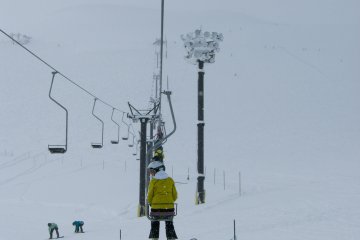 <p>King Lift</p>