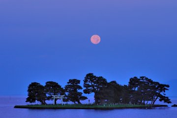 <p>Une heure avant le coucher de soleil... J'&eacute;tais fascin&eacute; par ce point de vue mystique</p>

