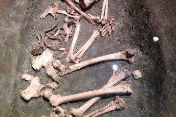 <p>A Jomon&nbsp;era grave. The Jomon people took great care of their dead, burying them in oval pits</p>