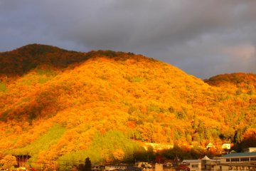 Niimi City in Fall