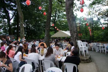 <p>Enjoying summer &nbsp;</p>