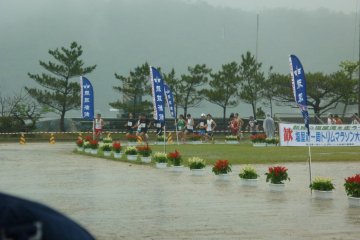 Start of the 9.5k race