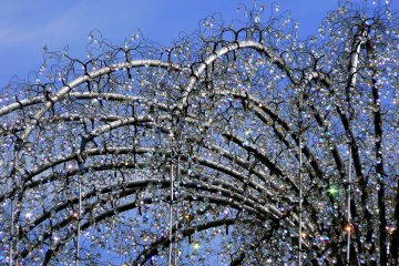 <p>The sparkling crystals caught my eye as I was cycling past</p>