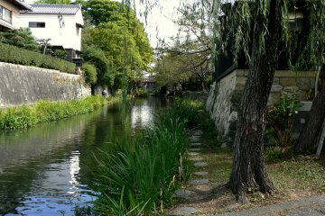 <p>Jalan setapak disamping kanal</p>