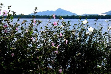 From Amanohashidate to Ine Village