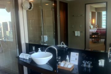Dream Room Basin