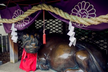 <p>This cow (kamigyusha) is one of the enshrined deities at Ohatsu Tenjin. It is an ancient belief that if you pass your hands over someone's ailed body parts, and do the same to the statue, that the person's illness will be healed.</p>