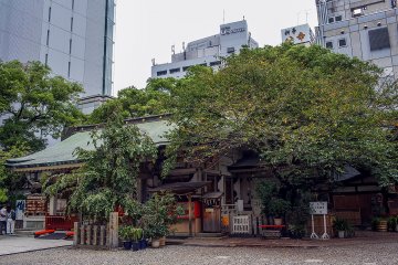 <p>The main building of Ohatsu Tenjin&nbsp;sits surrounded by skyscrapers</p>