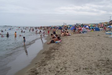 A nice crowd...