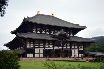 <p>The Great Buddha Hall</p>