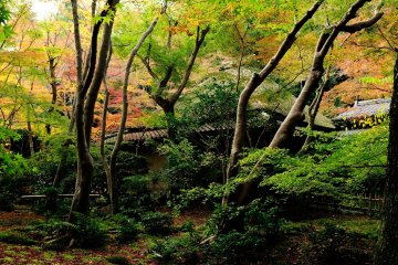 <p>A thatched roof and moss-covered garden...a totally different world spreads out in front of your eyes</p>