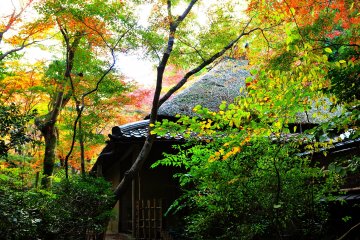 <p>In the Heian period, this place, from the Palace in Kyoto, was filled with resort villas of aristocrats and imperial families, and they often enjoyed hunting here</p>