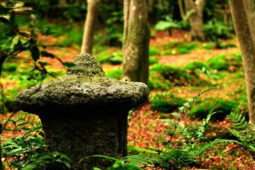<p>The whole place was silent, except for the sound of an intermittent breeze and the fluttering of bamboo leaves</p>