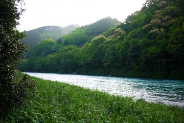 Abundance is not something we acquire. It is something we tune into. -- Wayne Dyer