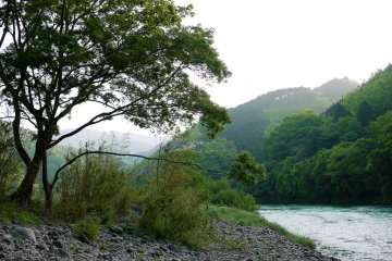 An early-morning walk is a blessing for the whole day. -- Henry David Thoreau