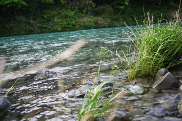 Adopt the pace of nature: her secret is patience. -- Ralph Waldo Emerson