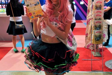 <p>Une des nombreuses "babes" du salon, dont le r&ocirc;le est d'attirer les visiteurs sur les stands, mais aussi de distribuer des tracts et autres objets promotionnels</p>