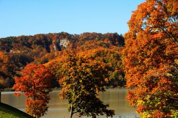 Fin octobre, le feuillage d'automne est à son apogée au bord du lac Kanayama, à Minamifurano