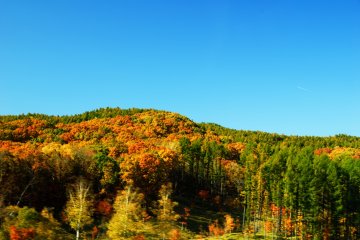 Me dirigeant vers Furano, sur la route 38, je continuais à prendre des photos tout en conduisant !
