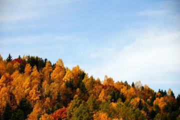 Profitez de l'automne éphémère du nord du pays !