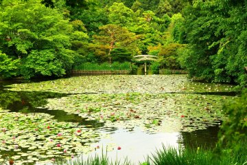 Ryoanji: Temple of Dragon at Peace