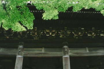 <p>Pepohonan yang hijau nan segar menghiasi pemandangan gagahnya Gerbang Sanmon</p>