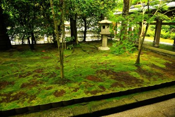 <p>This garden is located in front of Buddha Hall, on the right side of the Hojo building</p>