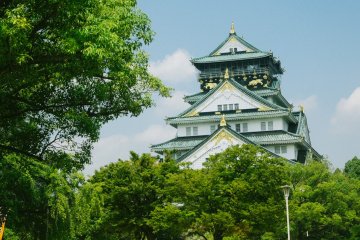 <p>Selamat dayang di Osaka Castle, salah satu kastil tercantik di Jepang.</p>