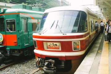 <p>Kereta Nankai Koya Line terparkir di Stasiun Gokurakubashi</p>