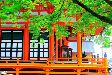 <p>The scarlet red main hall</p>