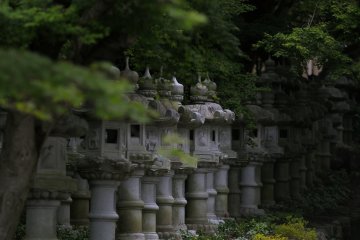 <p>Stone lanterns loiter in the warmth of the abundant greenery</p>