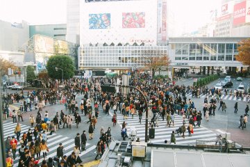 <p>Pemandangan Shibuya Crossing dari sebuah kedai kopi di lantai dua, terlihat betapa sibuknya penyeberangan ini.</p>
