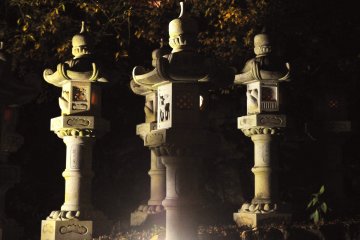The evening lanterns&nbsp;seem to emerge from the darkness