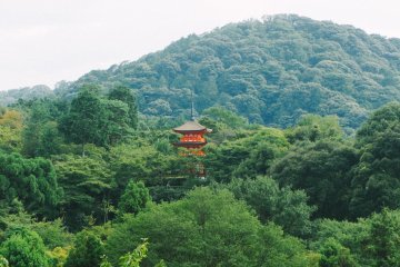<p>Dari Kiyomizu-dera, Anda bisa melihat sebuah pagoda yang dikelilingi oleh lebatnya pepohonan di bukit.</p>