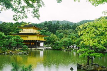 <p>Kinkaku-ji merupakan kuil cantik nan megah, bangunan utamanya dihiasi oleh kolam dan pepohonan yang menyegarkan mata.</p>