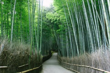 <p>Feel the tranquility and peace of this place</p>