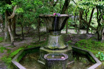 <p>The temple has a chalice-shaped fountain</p>