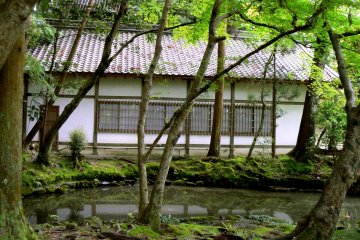 <p>A small pond reflects the trees &nbsp;</p>
