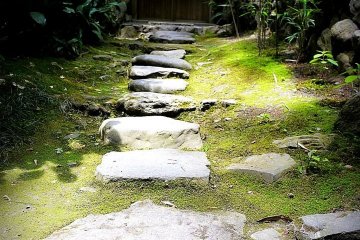 <p>Stepping stones lead to a small gate</p>