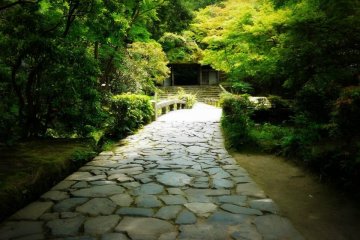 <p>The paths that lead you through the garden are very beautiful</p>