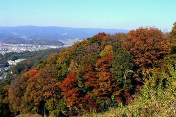 Climbing Daimonji-yama