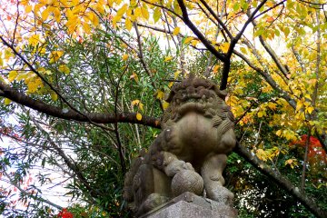 <p>Guarding the entrance to the shrine</p>